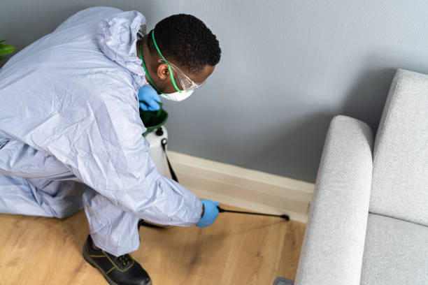 Indoor Pest Control in Tumwater, WA